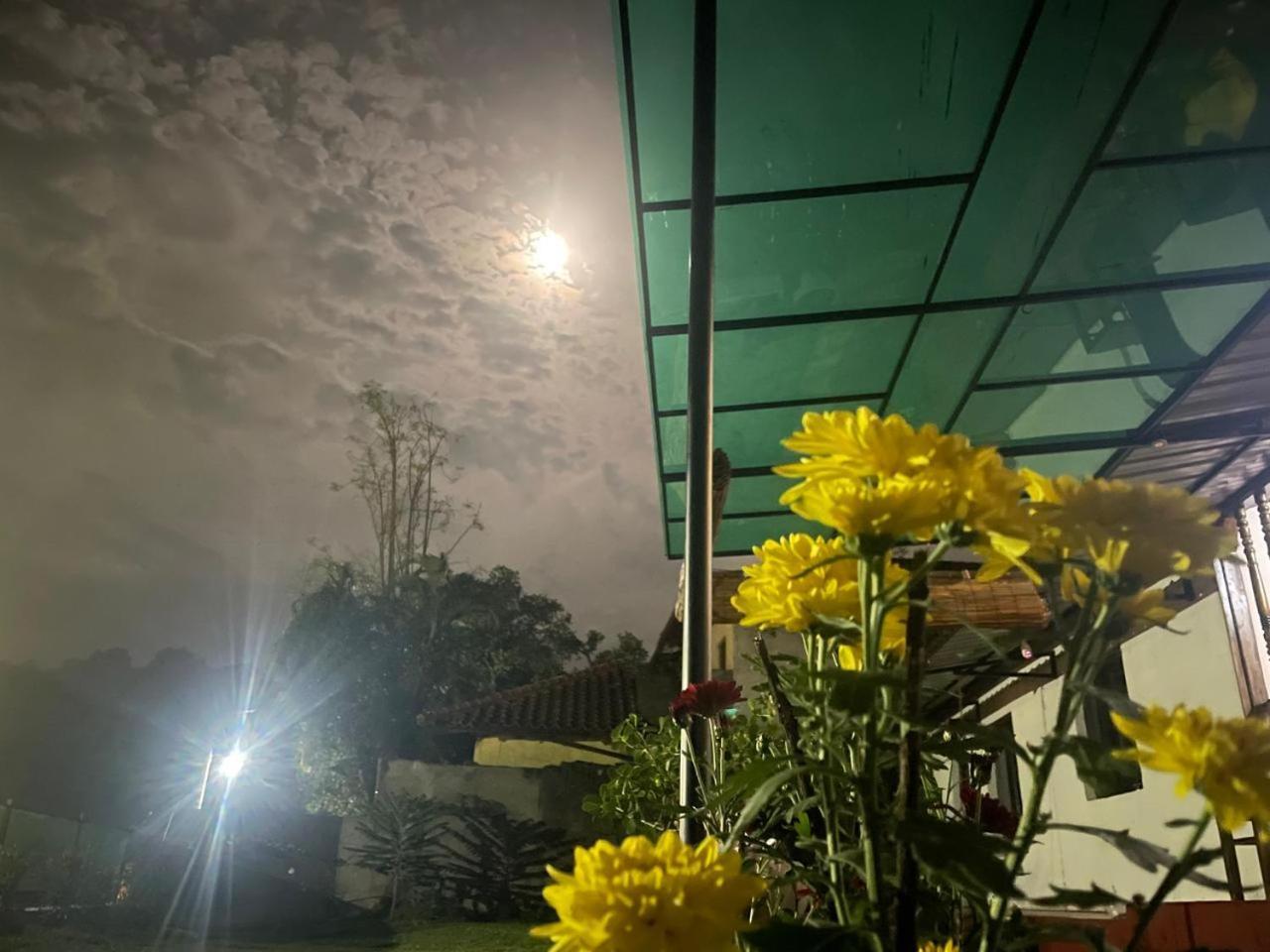 Lake Classical Guest House Kandy Luaran gambar